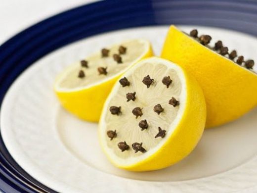 Sinek Kovar Kullanımı ve Faydaları Nelerdir?